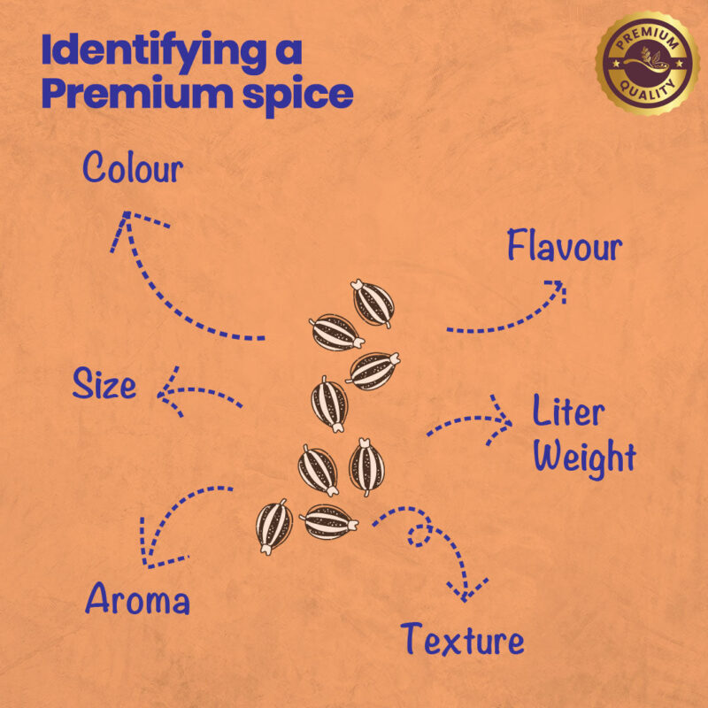 CRISTA Ajwain - Image 5