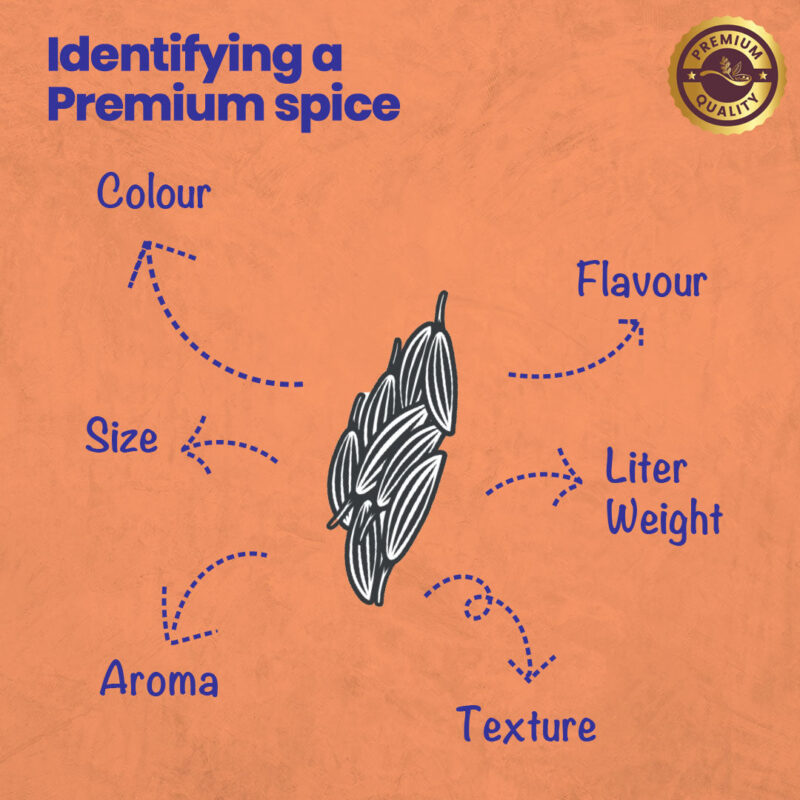 CRISTA Cumin 100 gms - Image 6