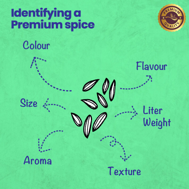 CRISTA Fennel - Image 5