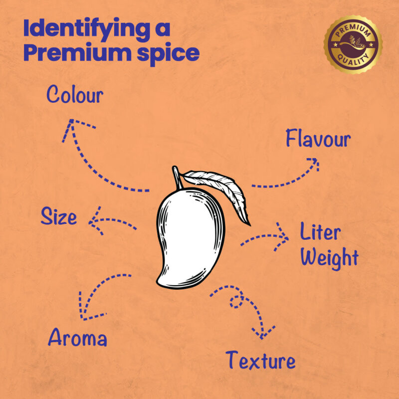 CRISTA Amchur Powder - Image 5