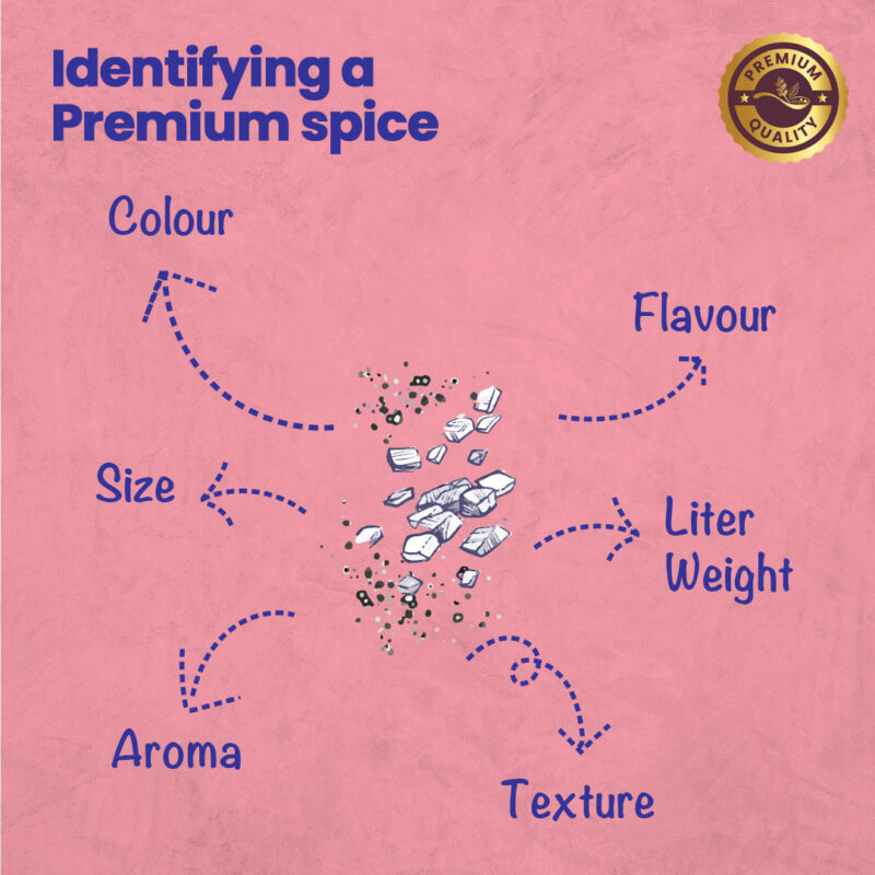 CRISTA Black Salt Powder - Image 8