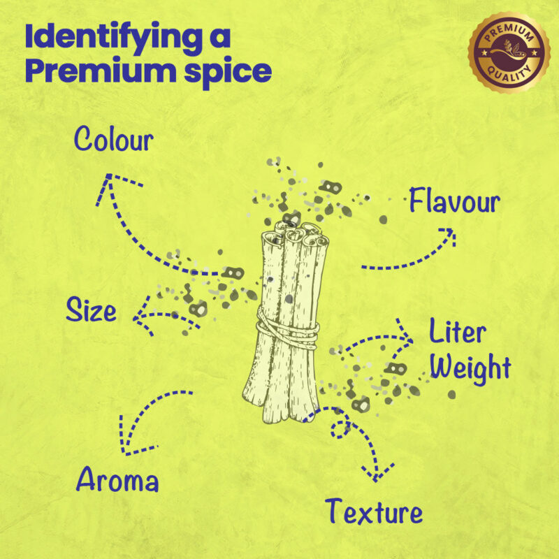 CRISTA Cassia Powder - Image 5