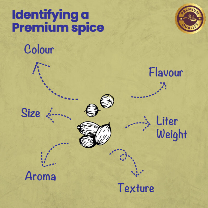 CRISTA Coriander Powder 100 gm - Image 11
