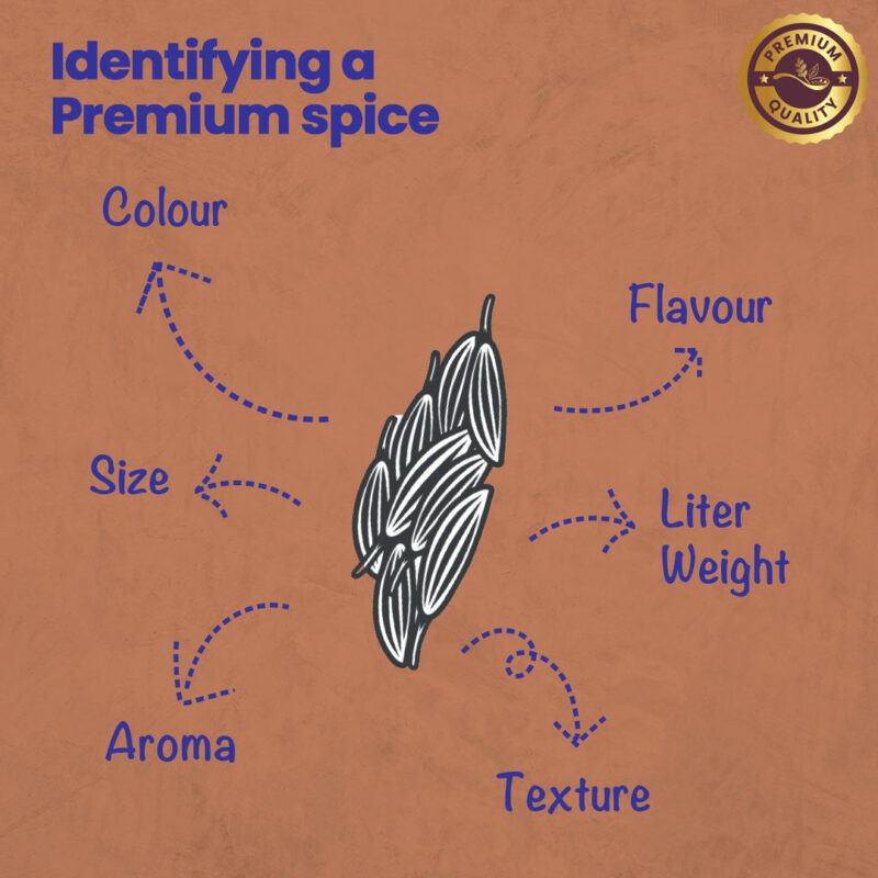 CRISTA Cumin Powder 500 gms - Image 5