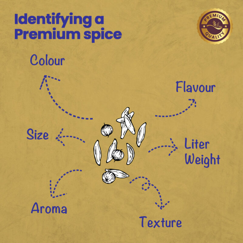 CRISTA Dhaniya Jeera Powder 100 gms - Image 5