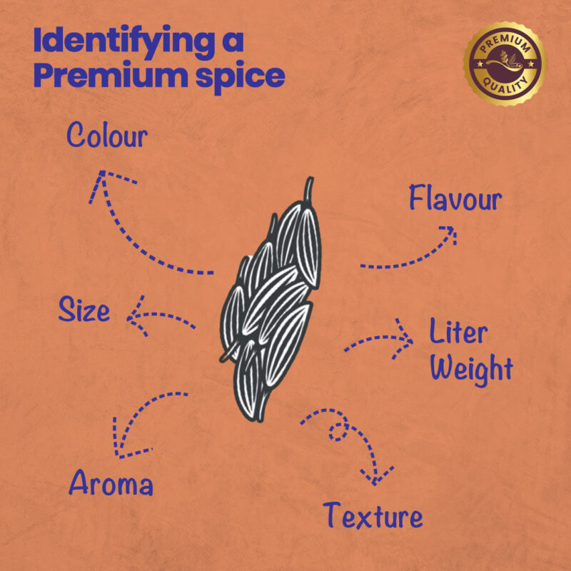 CRISTA Cumin Seed Combo Pack - Image 3
