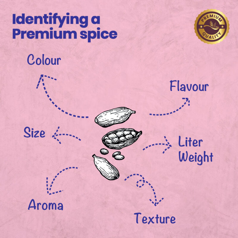 CRISTA Cardamom Combo Pack - Image 5