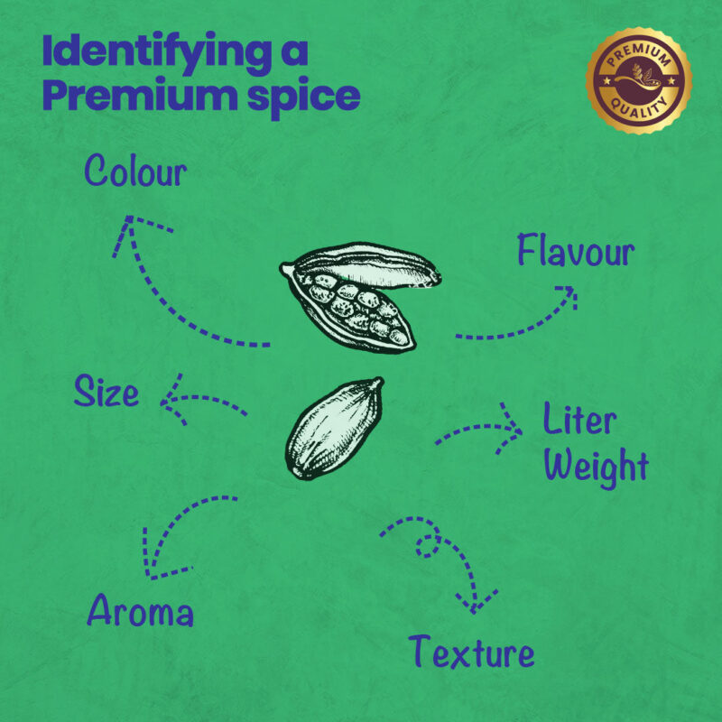 CRISTA Cardamom Combo Pack - Image 4