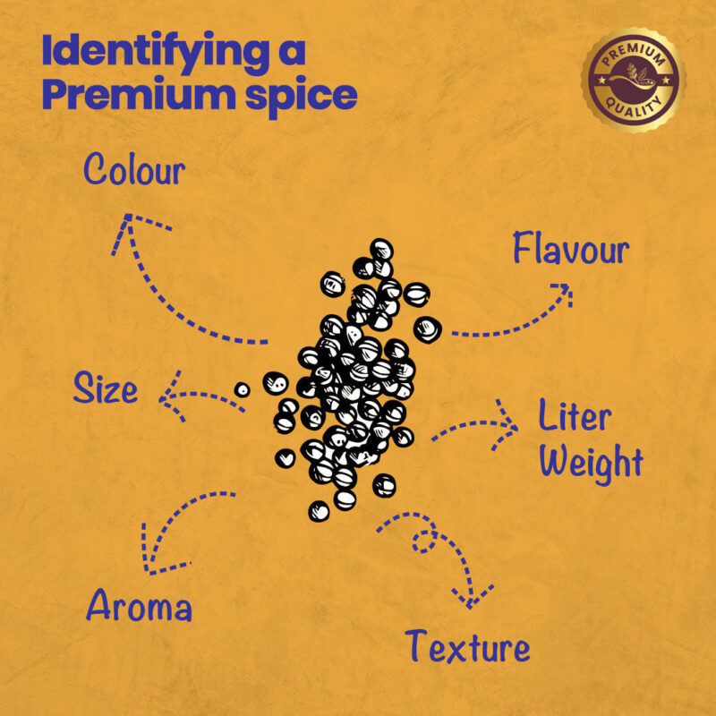 CRISTA Daily Whole Spices (Masala) Combo Pack - 2 - Image 9