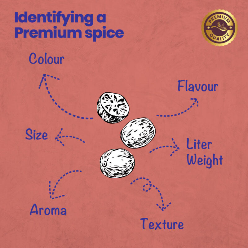 CRISTA Exotic Punjabi Cuisine Whole Spices (Masala) Combo Pack - Image 7