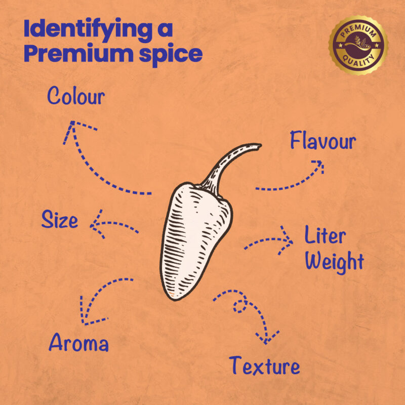 CRISTA Chilli Combo Pack - Image 10