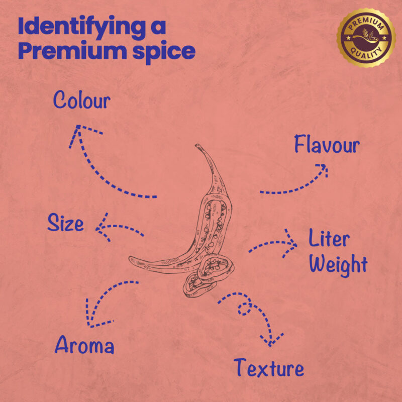 CRISTA Basic Italian Spices Combo Pack - Image 4