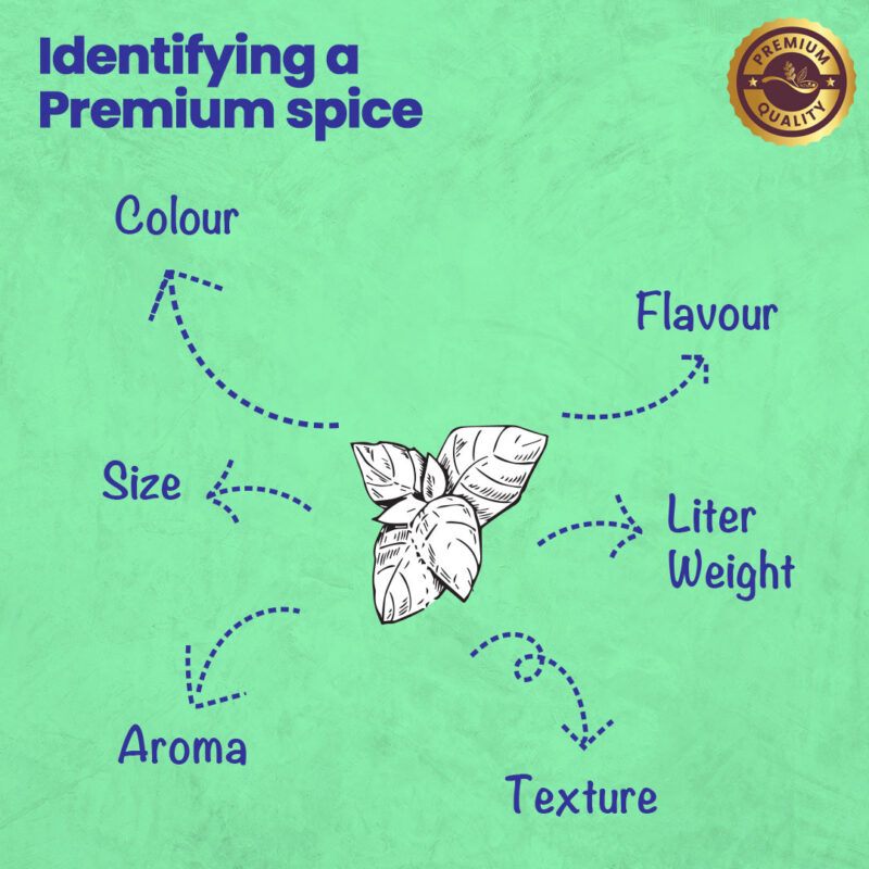 CRISTA Basic Italian Spices Combo Pack - Image 5