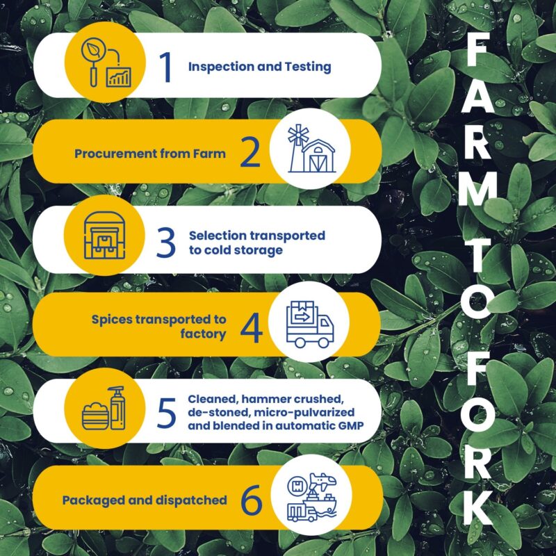 CRISTA Grill Rubs & Seasonings Combo Pack - 2 - Image 26