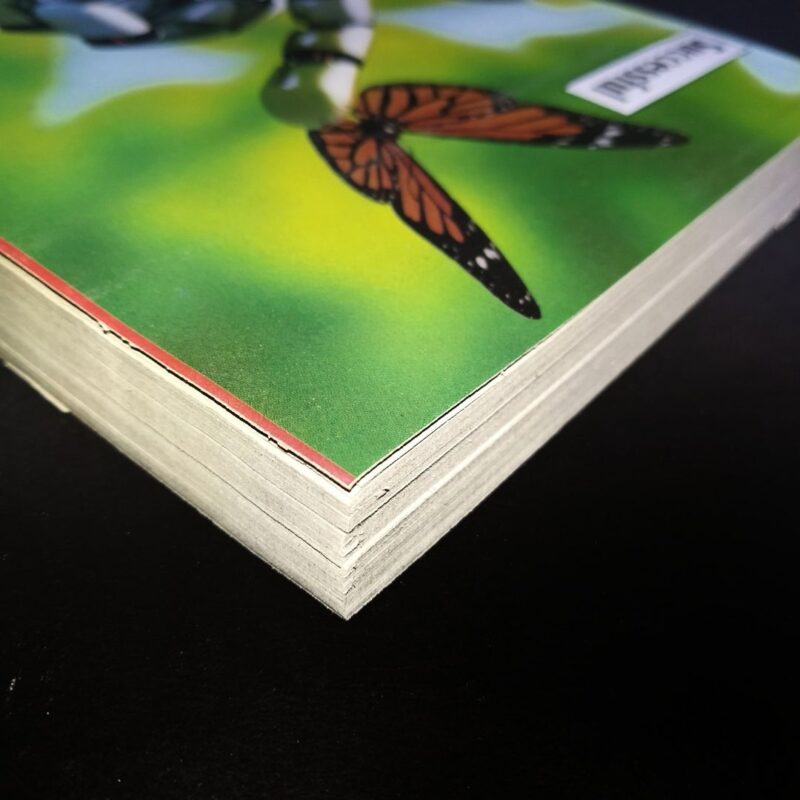 Eco-Friendly A4 Rough Notebook ( Plain ) - 400 Pages ( Pack of 2 )