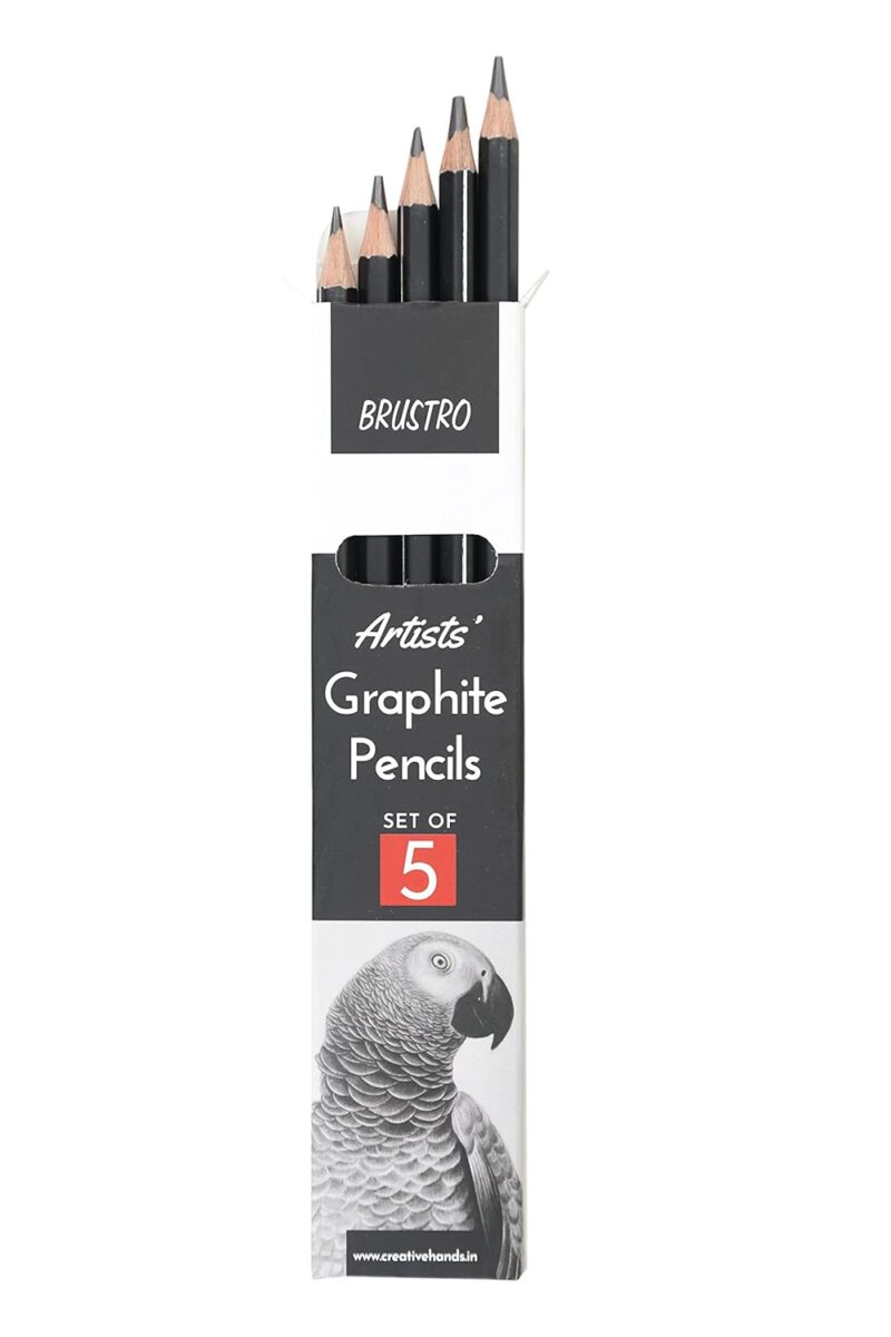 BRUSTRO Graphite Pencil set of 5 (2B, 4B, 6B, 8B, 10B) with Artists Sketch Book Wiro Bound A5 Size (14.8 CM x 21 CM), 116 Pages,160 GSM (Acid Free) and ECO PVC dust Free Erasers (2 Pcs)