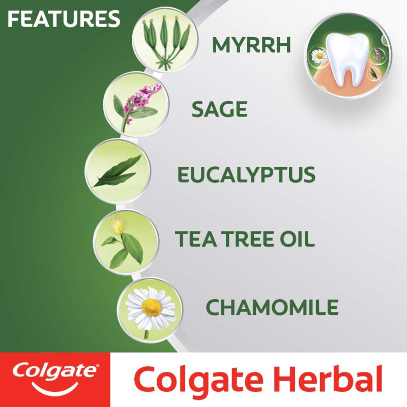 Colgate Herbal Toothpaste, Goodness of Natural Ingredients for Healthy Teeth, 800g, 200g X 4 - Image 4