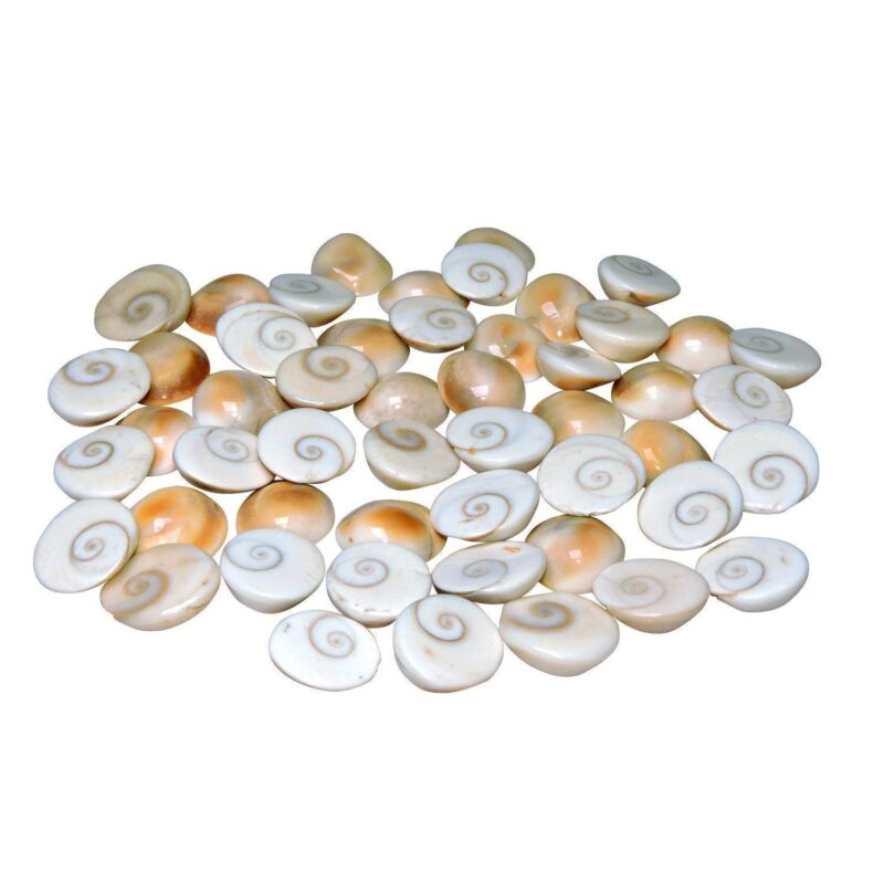SSKR Natural Gomati/Gomti Chakra Original for Puja (White) – 11 Pieces