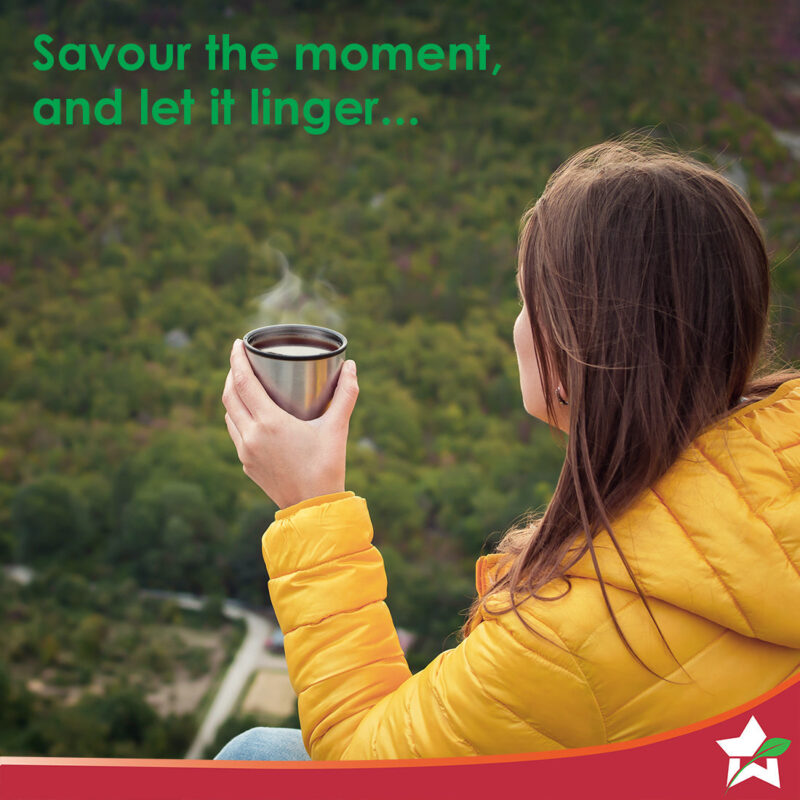 Coffee Powder for French Press | 250 gm | Fresh Coarse Grind | Medium-Dark Roast | Premium Quality Arabica | 100% Pure Coffee | Blend Earth - Image 5