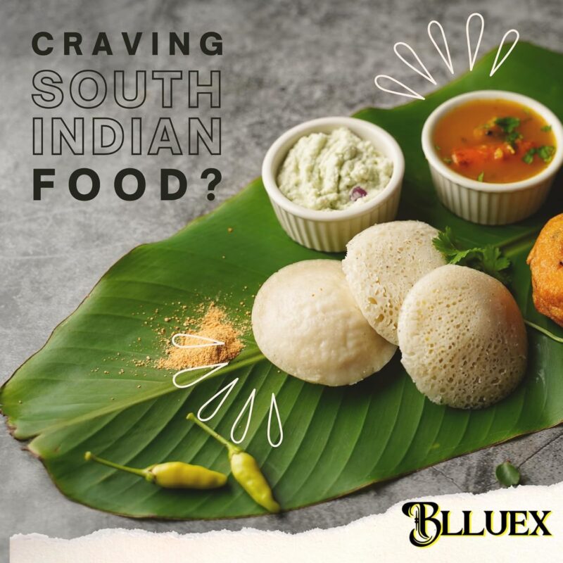 Blluex Stainless Steel Heavy Quality Idli Stand For 5 Liter above Cooker Idli Maker Makes 9 Medium Size Idlis At Once With Stand Kitchen Tool 3 Plates - Silver - Image 4