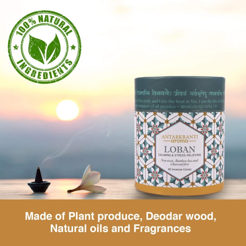 ANTARKRANTI Dry Dhoop LOBAN Cones | Pack of 2 | Contains- 80 Incense Cones | Burning Time 35 Minutes | Low Smoke Dhoop for Pooja | 100% Organic & Charcoal Free | Aromatherapy | Meditation | Yoga - Image 5