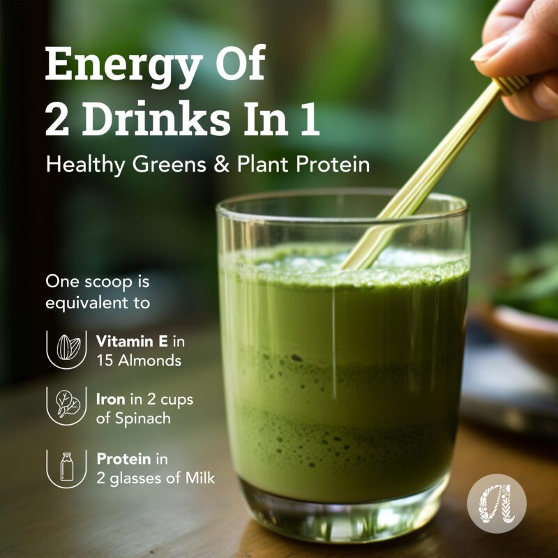 Anveshan Moringa Sattu Drink Mix - 300g | Chana Sattu Protein Powder | Drink | 8 Vitamin and Fibre Rich Nutrition Drink - Image 3