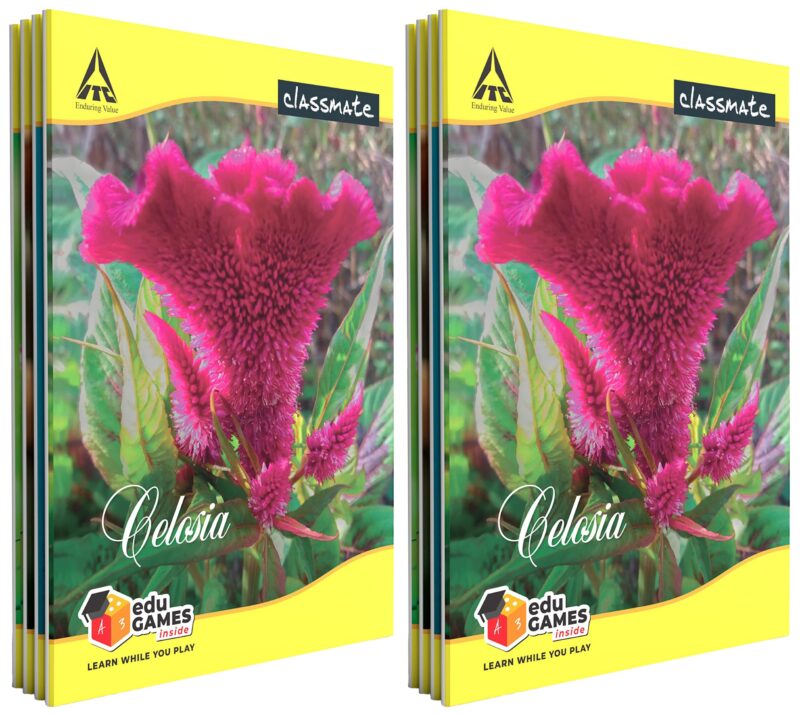 Classmate Notebook - Single Line, 72 Pages, 240 mm x 180 mm - Pack Of 8