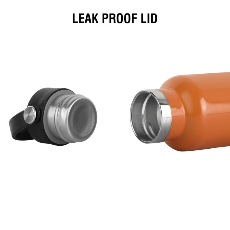 Aqua Bliss Flask, Vacusteel Water Bottle - Image 43