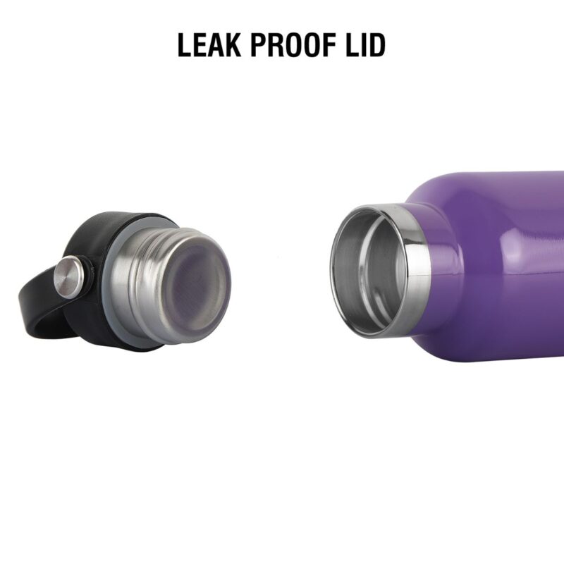 Aqua Bliss Flask, Vacusteel Water Bottle, 800ml - Image 24