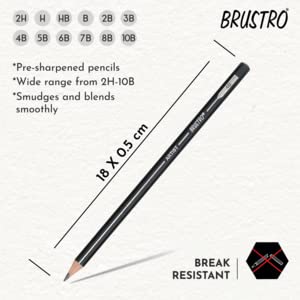 BRUSTRO Fine Art Graphite Pencil Set |10B - 2H | Pack of 12 with Elegant Tin Box| Ideal for Students and Adults, Drawing, Sketching, Mandala Shading, Pencils For Beginners and Artists