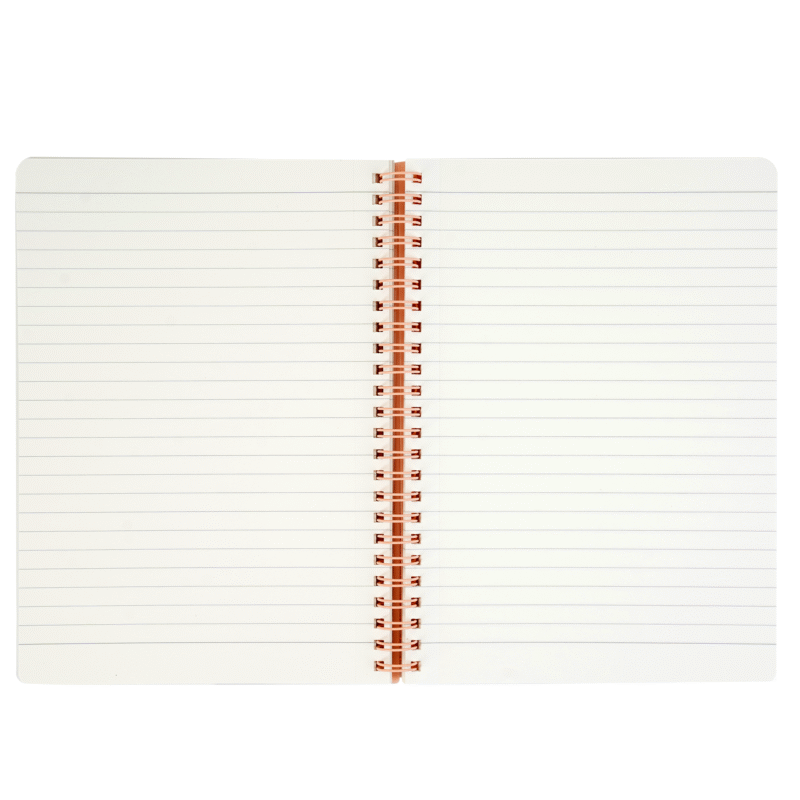 BRUSTRO Notes A5 Size, 1 Subject Ruled Notebook, 80 sheets / 160 pages, 70 gsm Ivory paper, Caramel Cover