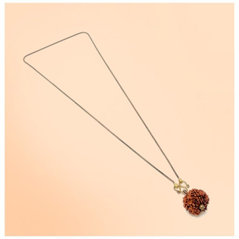 Adiyogi Rudraksha with copper chain. Consecrated Isha Panchamukhi (five faced) Rudraksha bead. - Image 3